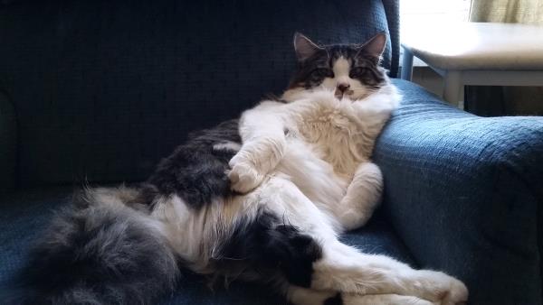 /Images/uploads/Humane Society of Utah/HSUCalendar/entries/829thumb.jpg
